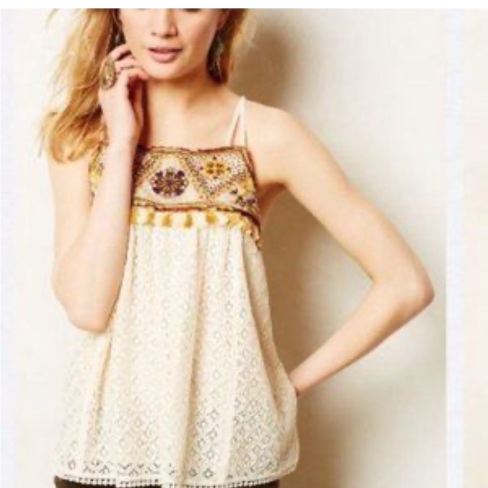 HD in Paris Lace with Embroidered Accents swing tank. NWOT